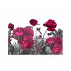 Fotótapéta - Festett vonalak