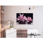 Kifestő - Rózsaszín Orchideák