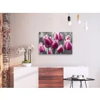 Kifestő - Tulipánok mezeje