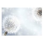 Fotótapéta - Fényes gömbök