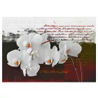 Fotótapéta - Az orchidea története
