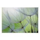 Fotótapéta - Zöldes hangulat