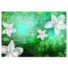 Fotótapéta - Elfeledett virágok