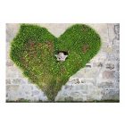 Fotótapéta - Természetes szerelem