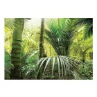 Fotótapéta - Pálmák közt