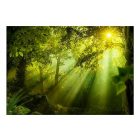 Fotótapéta -  Átvilágítva