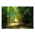 Fotótapéta - Napfény útja