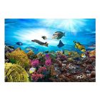 Fotótapéta - Korall zátony