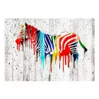 Fotótapéta - Festett színes zebra