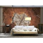 Fotótapéta - Egy fa története