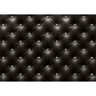 Fotótapéta - Ékköves bőr