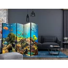 Paraván - Csoda a felszín alatt