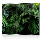 Paraván - Pálmaerdő