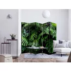 Paraván - Pálmaerdő