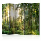 Paraván - Érintetlen természet 1