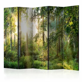 Paraván - Érintetlen természet 1