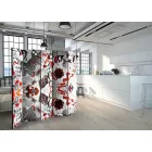 Paraván - Kozmosz 1