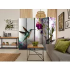 Paraván - Kolibrik a virágoknál 1