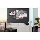 Kép - Orchideák egy esős napon 1