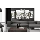 Kép - Orchideák rejtvénye