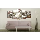 Kép - Csokoládé Orchidea