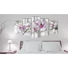 Kép - Kedvenc Orchideaám