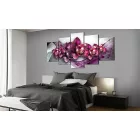 Kép - Orchideák birodalma 1