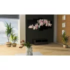 Kép - Orchideák fekete háttérrel