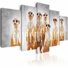 Kép - Figyelő tekintetek 1