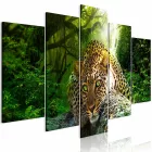 Kép - Lapuló Leopárd 1