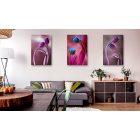 Kép - Szerelmes Tulipánok