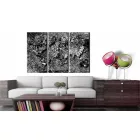 Kép -  Szálas világtérkép