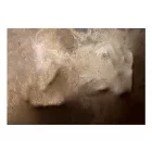 Fotótapéta - Érintés érzése 2
