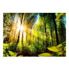 Fotótapéta - Erdei rejtekhely 1