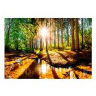 Fotótapéta - Erdei rejtekhely 2