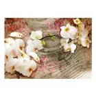 Fotótapéta - Sivatagi Orchidea 2