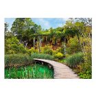 Fotótapéta - Gyönyörű zöld 1