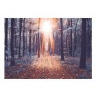 Fotótapéta - Földöntúli fény 1