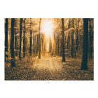 Fotótapéta - Földöntúli fény 2