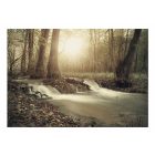 Fotótapéta - Álomszerű erdő 1