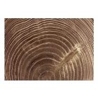 Fotótapéta - Nyers fa 1