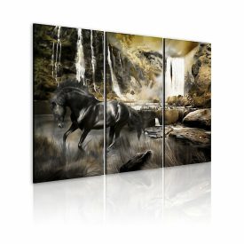 Kép - Fekete szépség 7