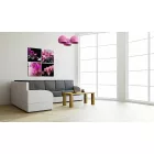 Kép - Színes álmok