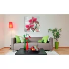 Kép - Csodálatos világ