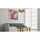 Kép - Virág és Zen