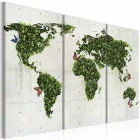 Kép - Zöld világ 3