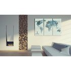 Kép - Világtérkép madarakkal 2