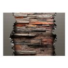 Fotótapéta - Rejtett fa