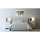 Kép - Országnevek térkép 25