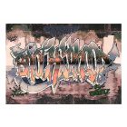 Fotótapéta - Falfirka